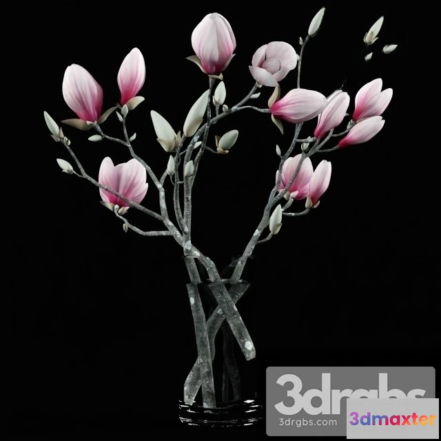 1009734 - Magnolia Bouquet