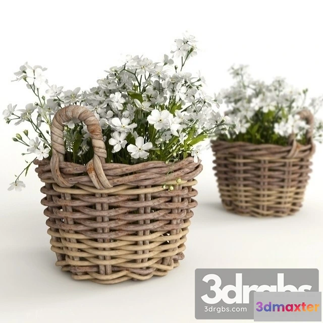 1009746 - Matthiola Bouquet