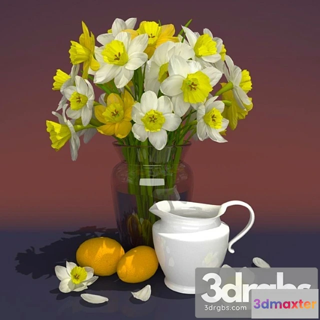 1009774 - Nartsissy 2