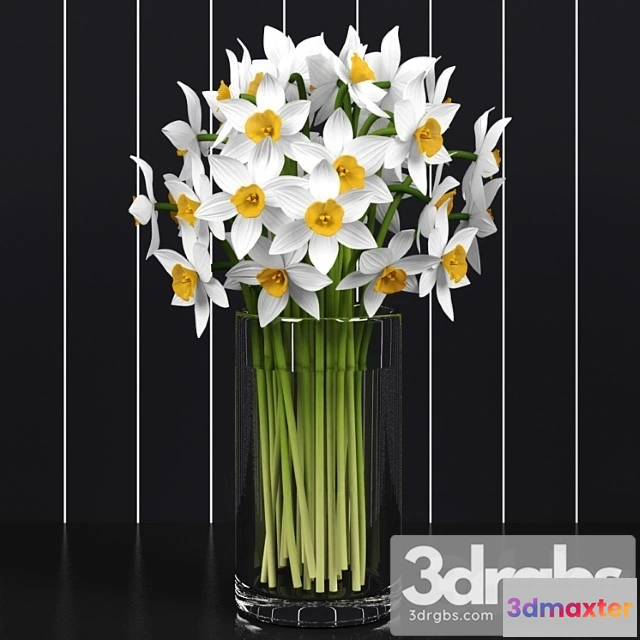 1009776 - Nartsissy Daffodils