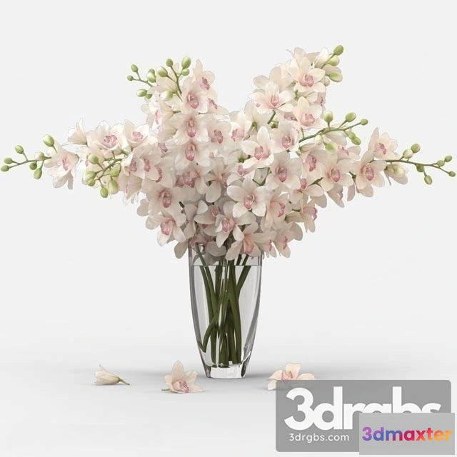 1009804 - Orchid Bouquet