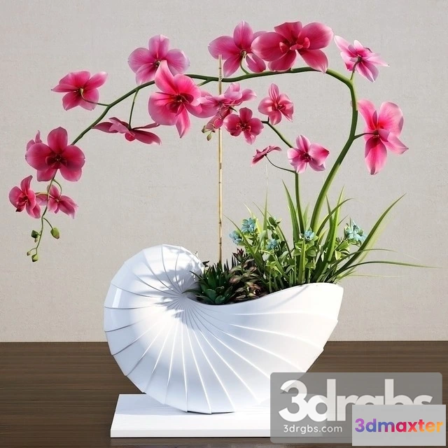 1009818 - Orchidea Bouquet