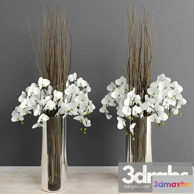 1009822 - Orchids With Willow Branches