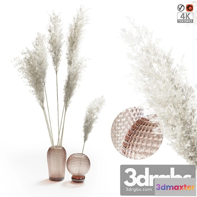 1009832 - Pampas Grass Bouquet 1