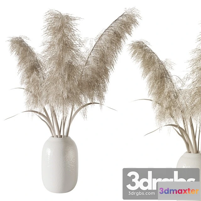 1009834 - Pampas Grass Bouquet