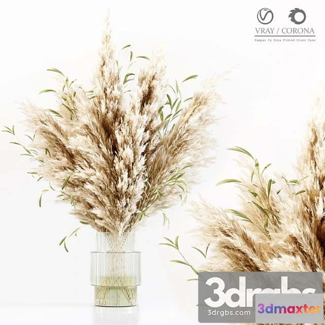 1009836 - Pampas In Dina Fluted Glass Vase