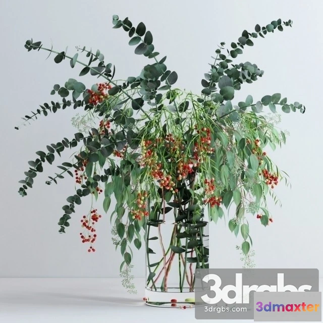 1009856 - Pepperberries Eucalyptuses