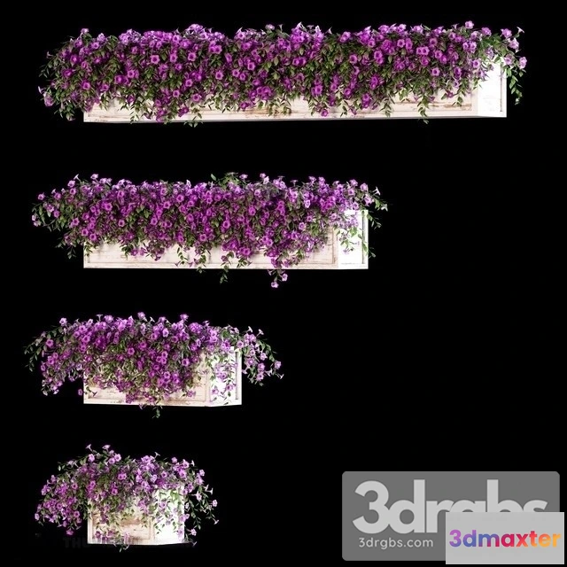 1009860 - Petunia Bouquet Set