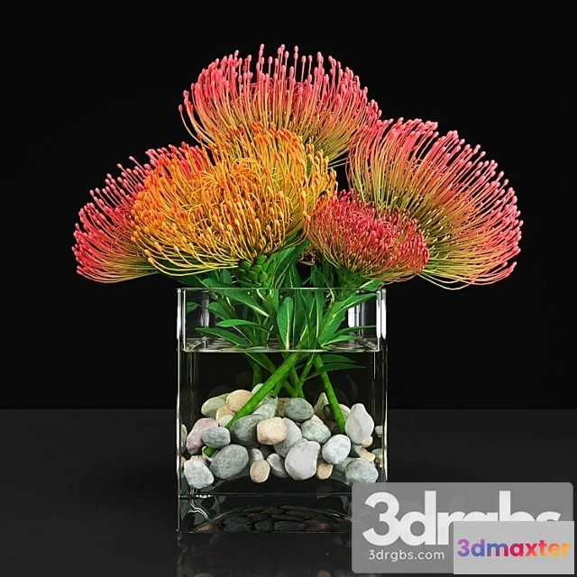 1009882 - Plant 13 6