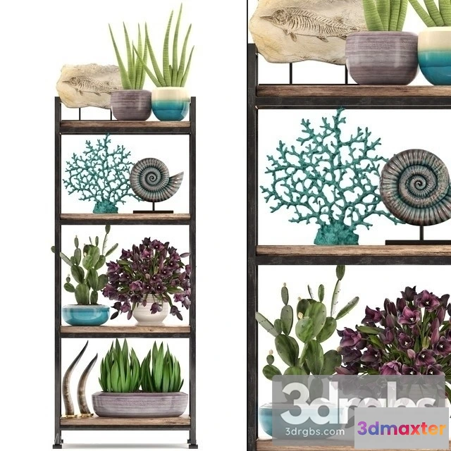 1009886 - Plant Loft 1104