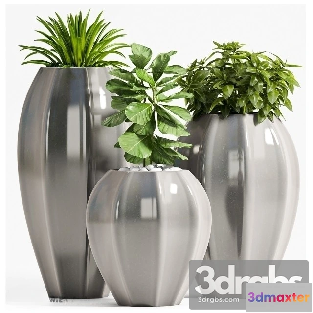 1009890 - Plant Set 70