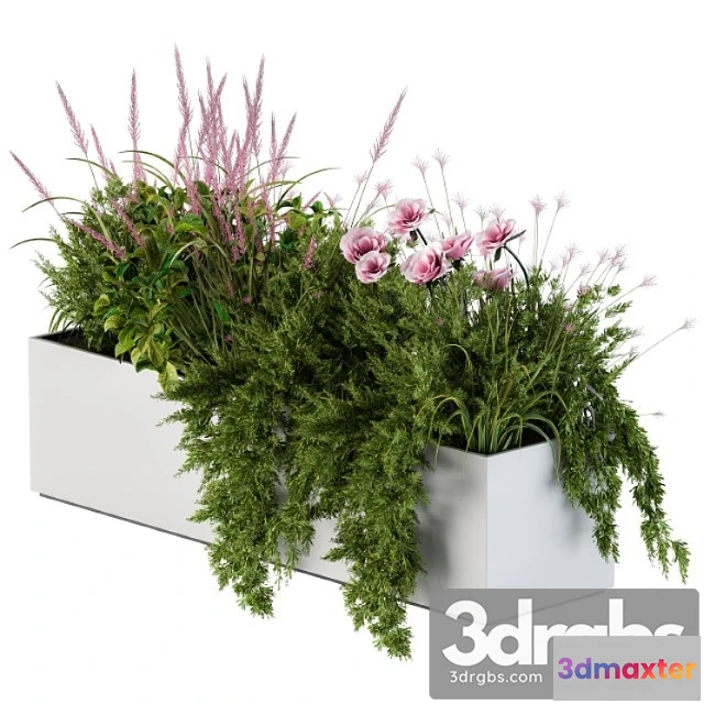 1009892 - Planter Box For Windows Pink Flower