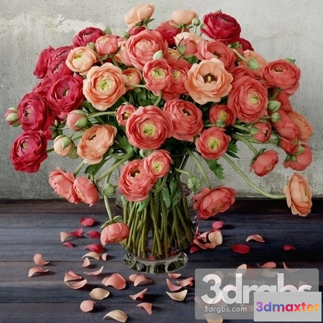 1009918 - Ranunculus Bouquet