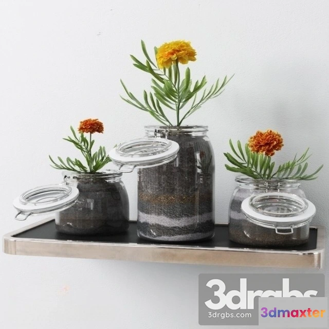 1009930 - Redhome New Tree