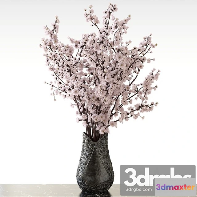 1009968 - Sakura V Vazie