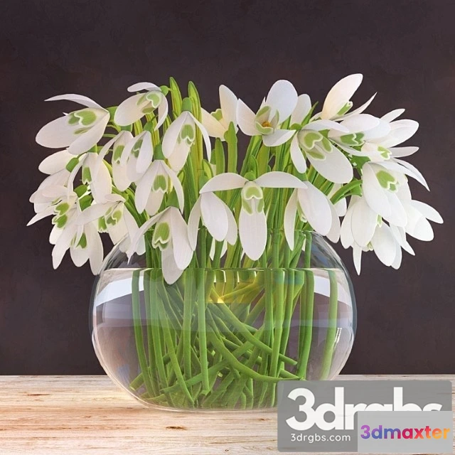 1009994 - Snowdrops In A Vase 1