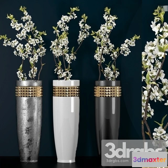 1009998 - Spiraea Thunbergii