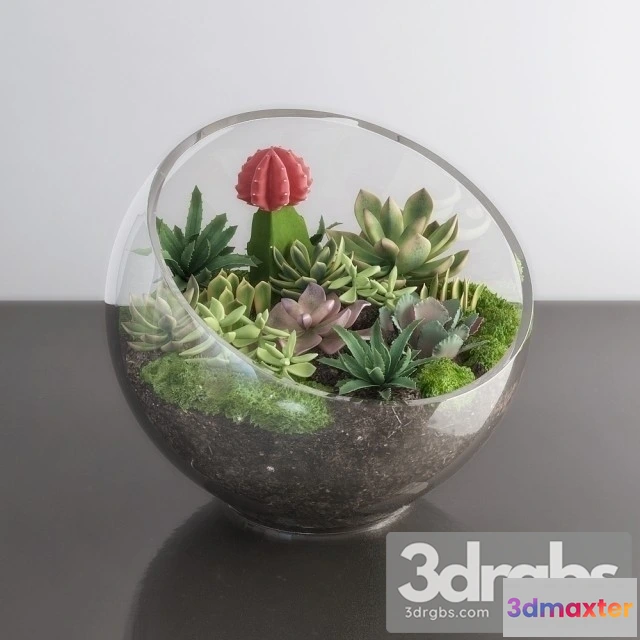 1010014 - Succulents Bouquet