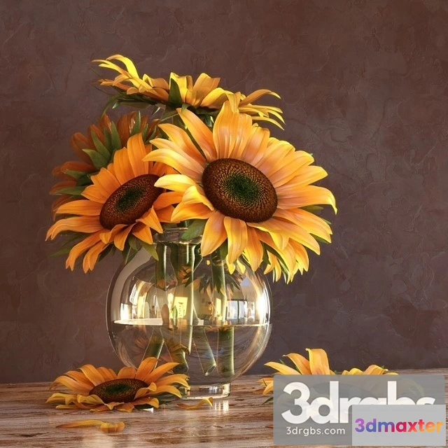 1010016 - Sunflowers in a Vase