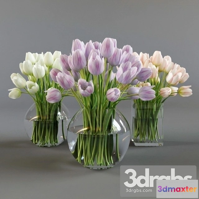 1010034 - Three Vases Tulips