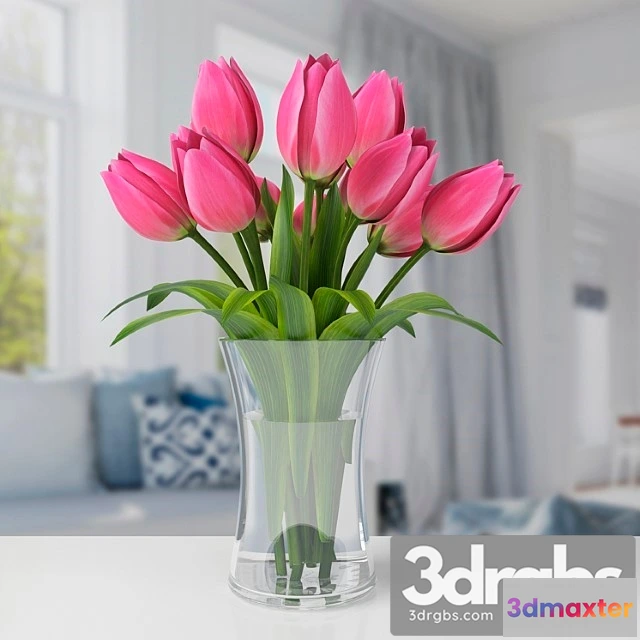 1010036 - Tiul Pany 39