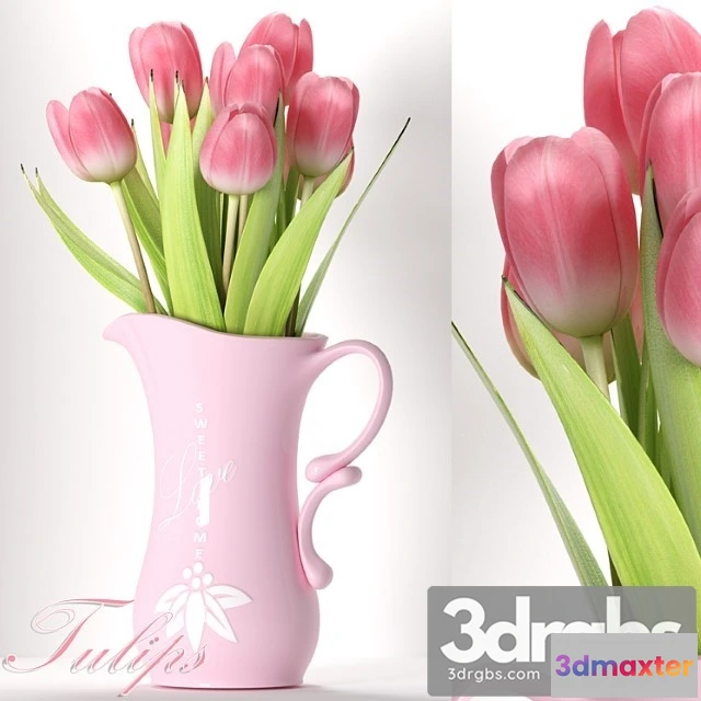 1010040 - Tulip 8 1