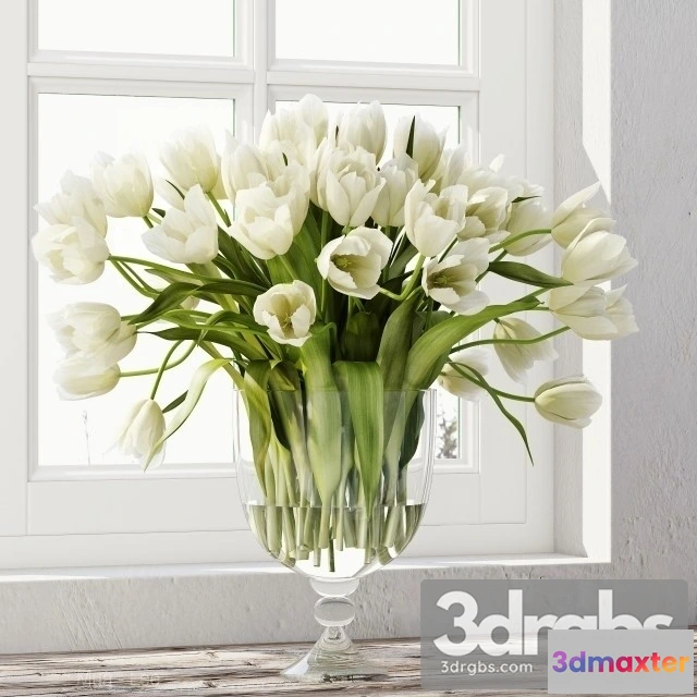 1010052 - Tulips Bouquet 3