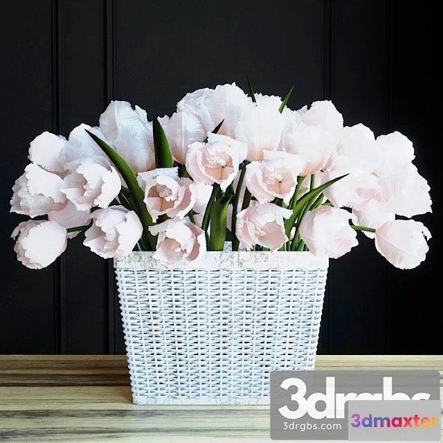 1010060 - Tulle Paniya In Basket