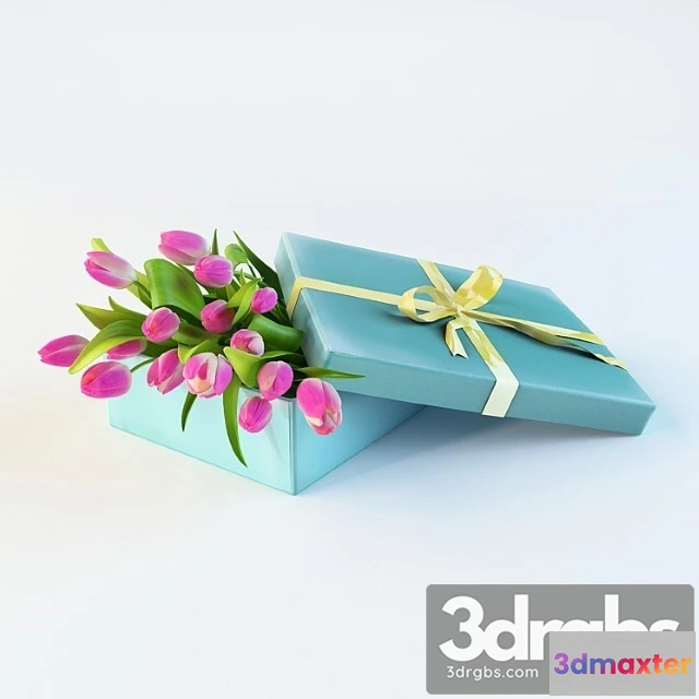 1010062 - Tulle Paniya In Box 3