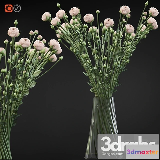 1010066 - Twist Bouquet of Small Beige Shrub Roses