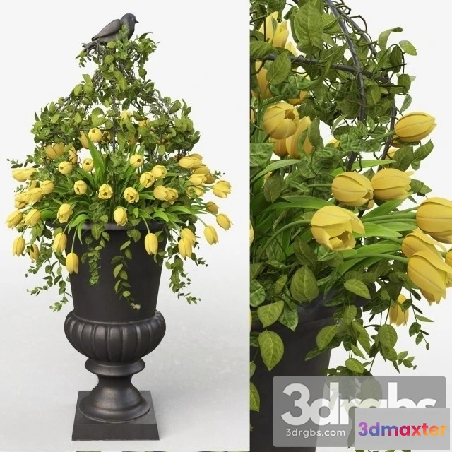 1010070 - Vase Bouquet Tulips