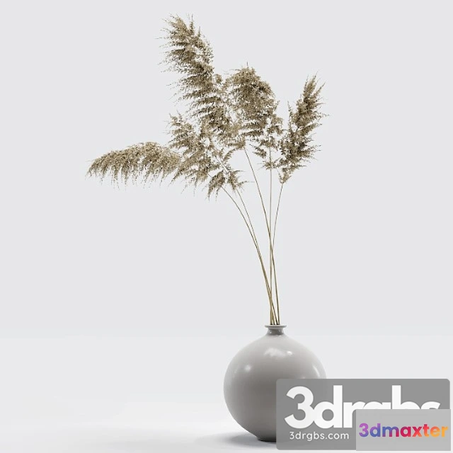 1010078 - Vase with Dried Flowers 0002