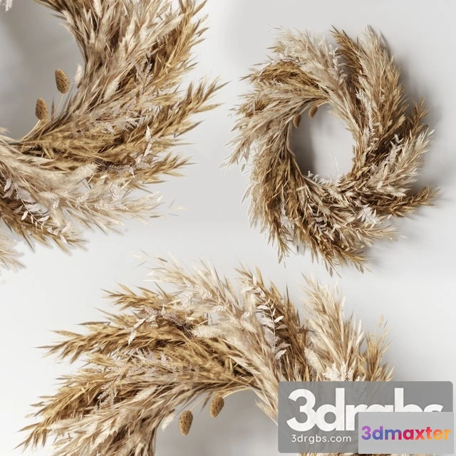 1010100 - Wall Hanging Pampas Ring