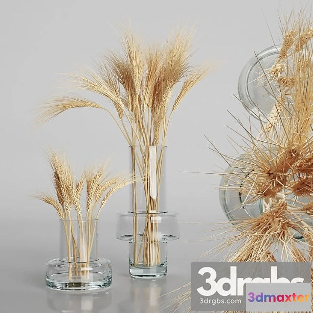 1010108 - Wheat Bouquets