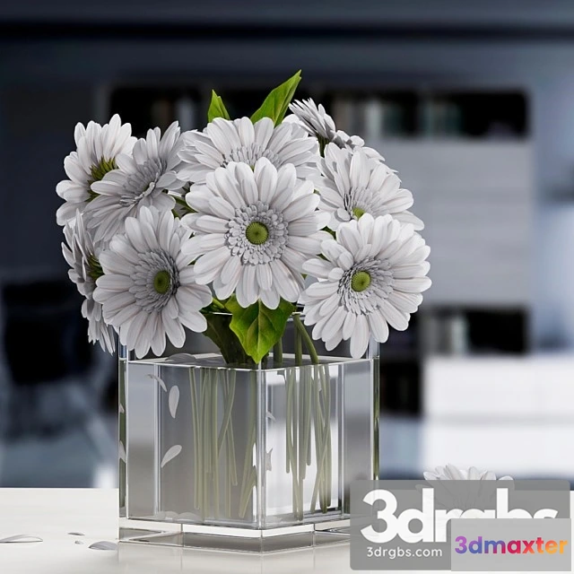 1010114 - White Gerbera Flower