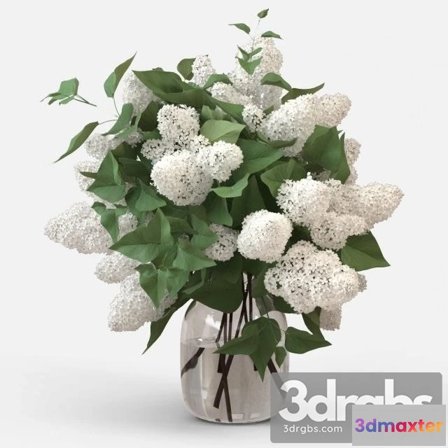 1010116 - White Lilac Bouquet