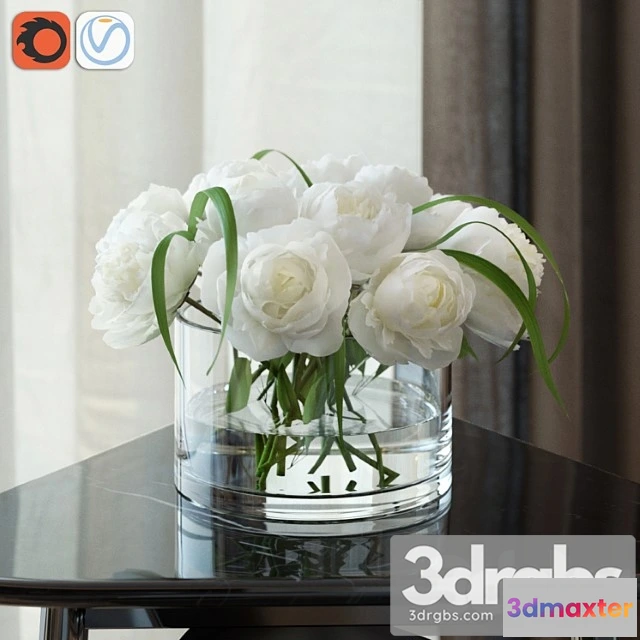 1010120 - White Peonies 2
