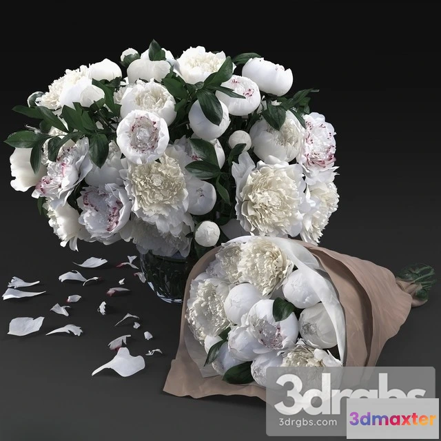 1010124 - White Peonies