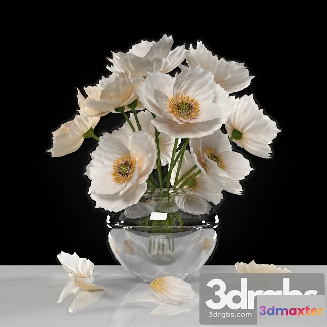 1010126 - White Poppies