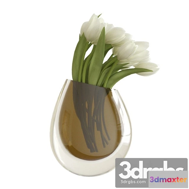1010134 - White Tulips In A Vase 1