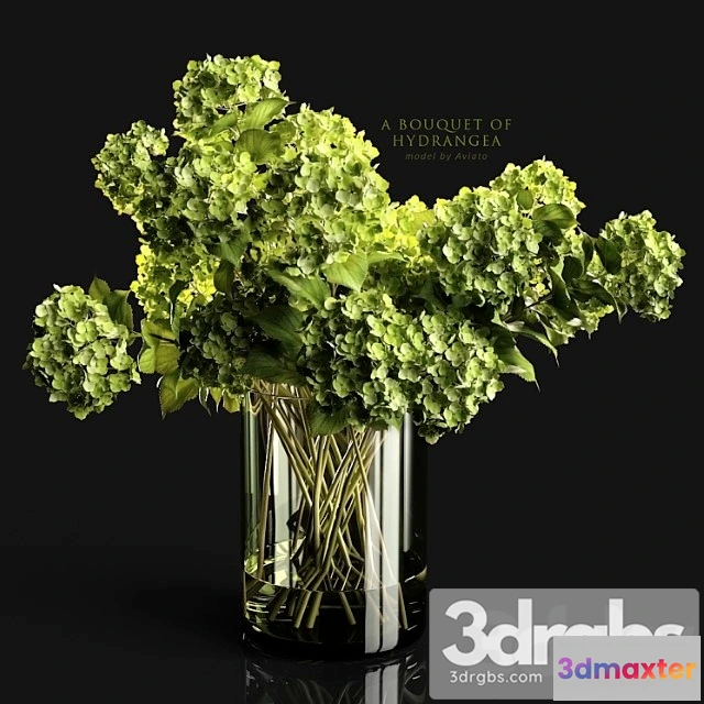 1059094 - A bouquet of hydrangea