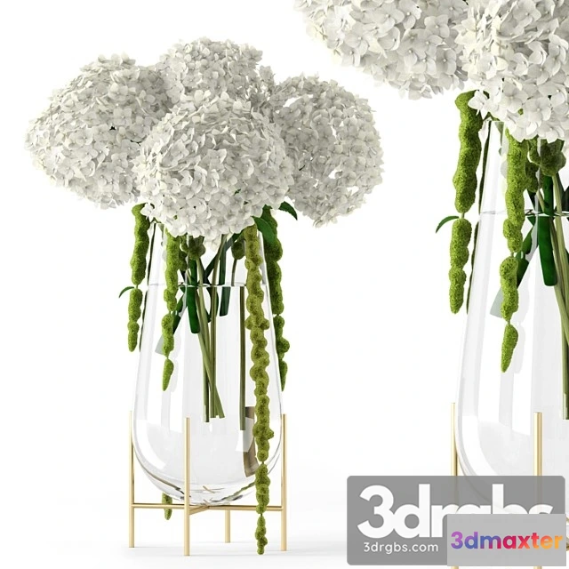 1059128 - Amaranthus and hyndrangea