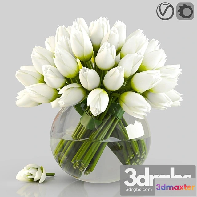 1059130 - Angelique tulips