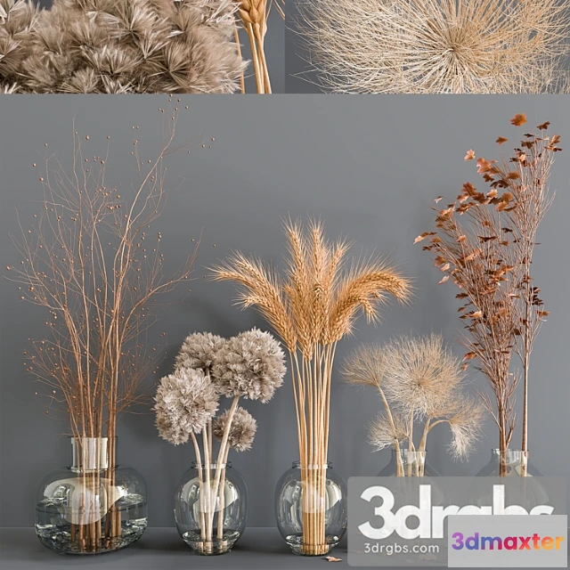 1059132 - Autumn bouquets