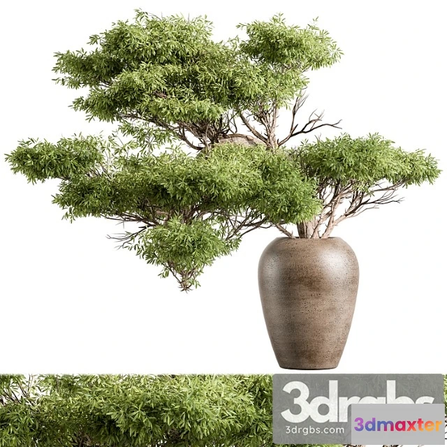 1059166 - Bouquet - green branch 116