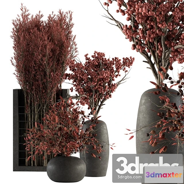 1059206 - Bouquet 108 - red plants