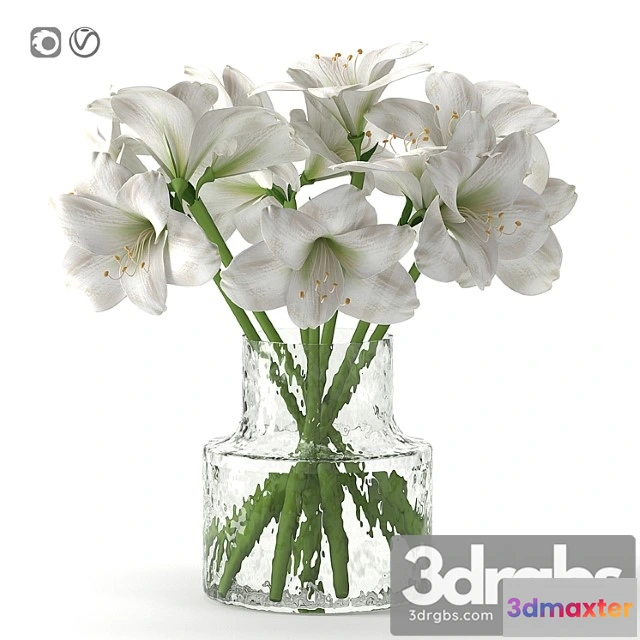 1059212 - Bouquet 16