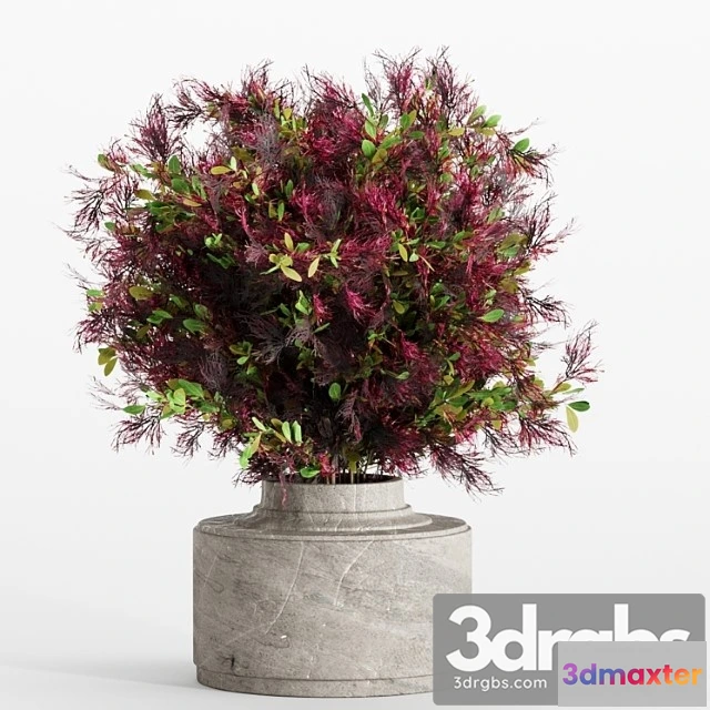 1059232 - Bouquet 7 - No.2