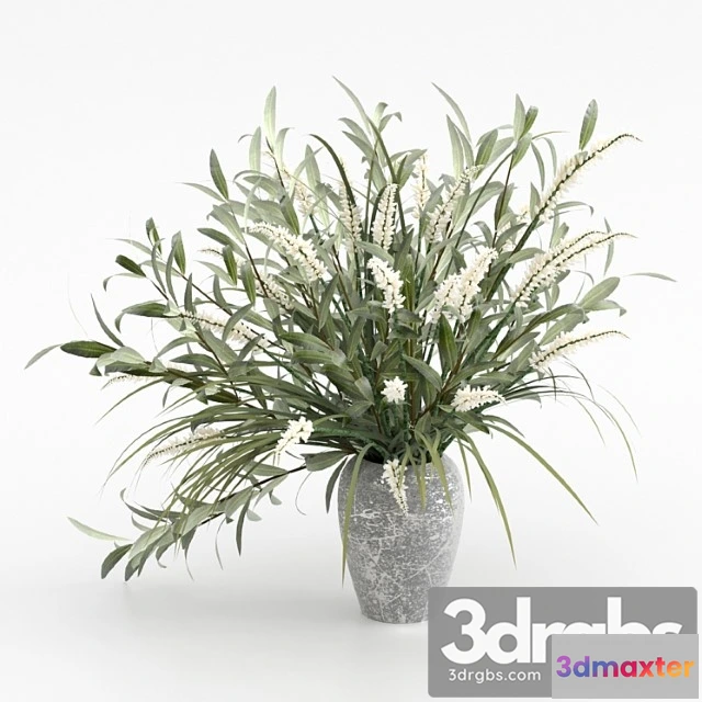 1059254 - Bouquet in a vase