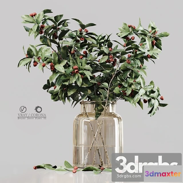 1059258 - Bouquet indoor plants 01